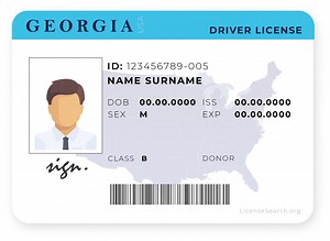 Georgia Driver License | License Lookup