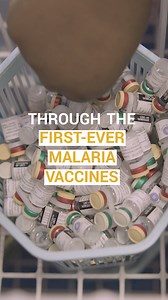 33K views · 25K reactions | Mosquitos – a small but deadly insect that kills one child under the age of five almost every minute. The world must come together to prevent children from suffering these diseases. Thanks to the new malaria vaccines and other preventative actions and treatments, children can finally have a malaria-free world. | UNICEF | Facebook