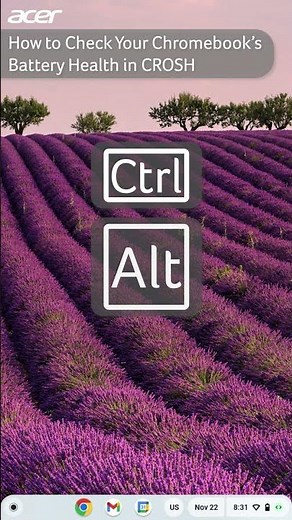 How to Check Your Chromebook's Battery Health in CROSH