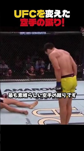 UFCを変えた空手の蹴り！