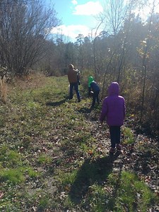 High-Quality Halal Tayyib Meat Delivered Fresh from Our Farm to Your Home.