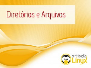 Hierarquia de Diretórios no Linux [Guia Básico] - Certificação Linux