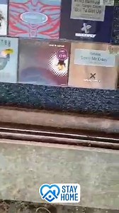 4.3K views · 123 reactions | Check out this TTF fan's incredible dance music collection. Do YOU or did you have any of these CDs | TTF | Facebook