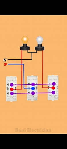 261K views · 1.5K reactions | Two Bulb Control Wiring Diagram | Parallel Switch Connection #shots #electrical | Roni Electrician | Facebook