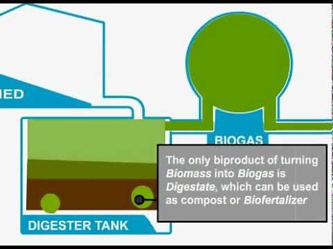 Biomass Gasification