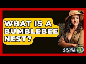What Is A Bumblebee Nest? - Ecosystem Essentials