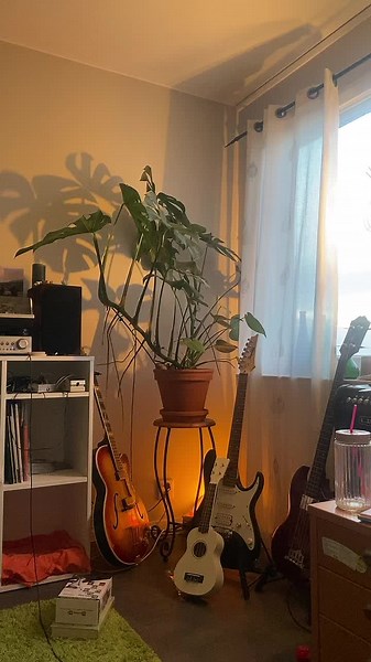 How to Add a Border to Your Profile Picture