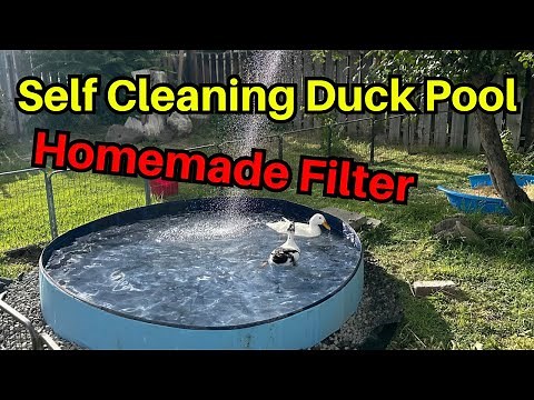 DIY Self Cleaning Duck Pool: Upgraded Bucket Filter System Tutorial