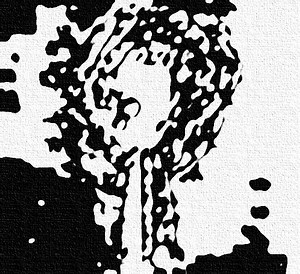 Various - Ghost Box Anomalies