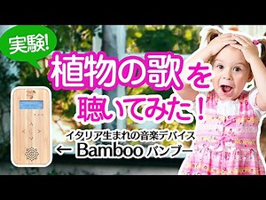 実験！バンブーで植物の歌を聴いてみた！
