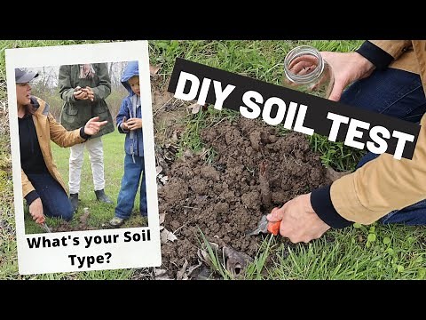 What Type of Soil Do I Have? DIY Soil Type Test