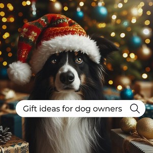 For the past few weeks, ️ our marketing tech team has been working...