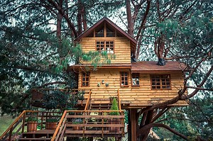 13 Simple Treehouse Ideas You Can Build For Your Kids This Weekend (Easy to Expert Levels) - Trees.com