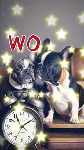 【わんこタイマー】TIMER&BGM:作業用/犬が15分ごと吠えます！"Animal Timer Series"