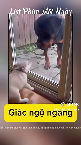 #listphimmoingay #phimhai | Must See Movies List