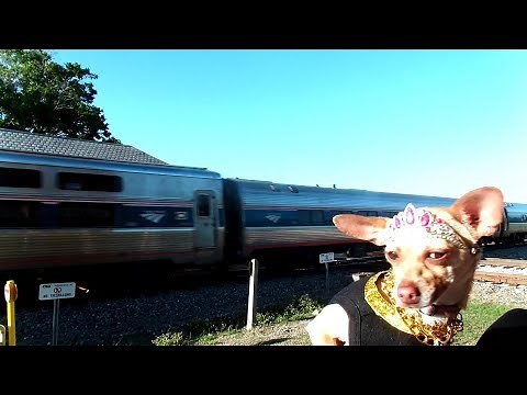 Railroads Funniest Moments