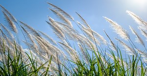 Is the Holy Spirit God?