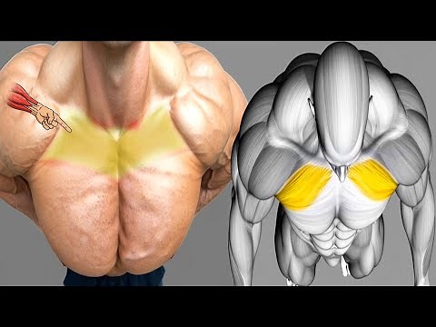 9 Best Exercises to Build Upper Pectoral