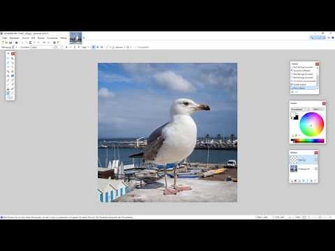 paint.net - Text hinzufügen