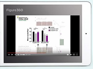 Help us figure out Figure360