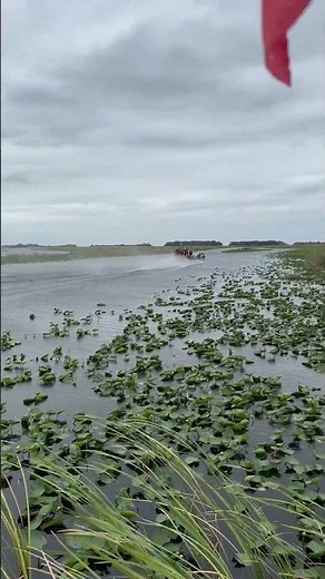 Airboat tour through the Florida Everglades at Everglades Holiday Park