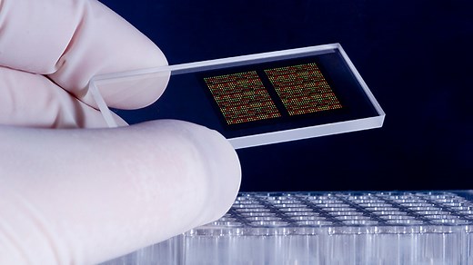 Human-Relevant Alternatives to Animal Tests