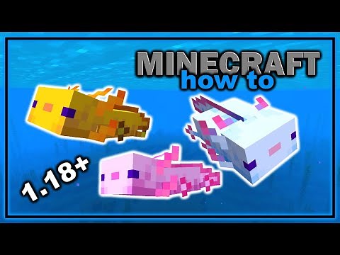 Everything About Axolotl in Minecraft! (1.18+) | Easy Minecraft Mob Guide