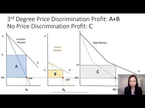 Price Discrimination (3): 3rd Degree Price Discrimination (Principle Level)