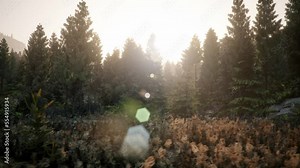 Panning animation shot of a forest - 3d animation