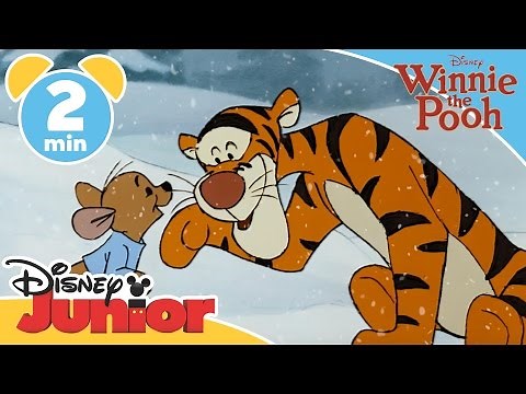 The Mini Adventures of Winnie the Pooh | Tigger Goes Ice Skating | @disneykids