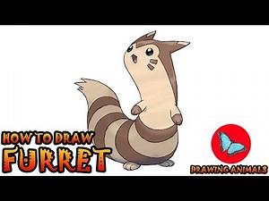 How To Draw Furret Pokemon | Drawing Animals