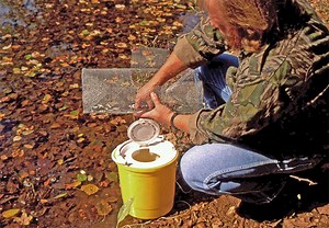 DIY: Building Your Own Minnow Traps - Game & Fish