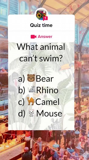 #question from @bing_44