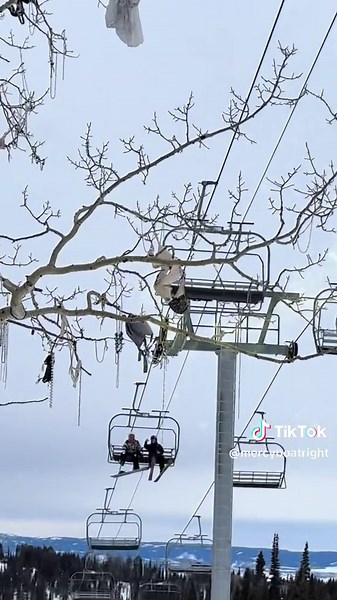 The Bra Tree Throwing Tradition in Idaho and Wyoming