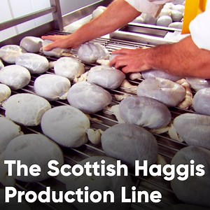 Haggis is an acquired taste! 😳 | Discovery Channel UK