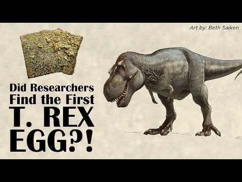 Is this the first T. rex egg?