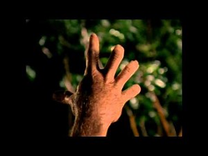 Werewolf Transformation 15