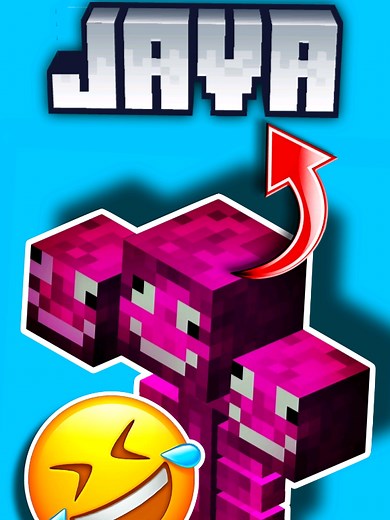 THE WITHER IN JAVA🤣😂 #minecraft #wither #minecraftjava #humor #parati #fyp #lomasviral