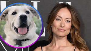 Olivia Wilde and Jason Sudeikis Respond to Allegations by Former Nanny