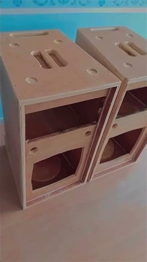 Box Line Array 12 inch single.