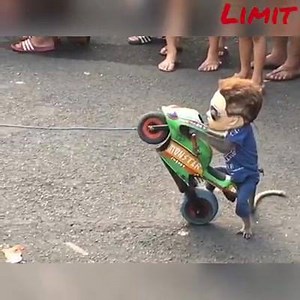 2.3K views · 148 reactions | Savage Media on Reels | Facebook