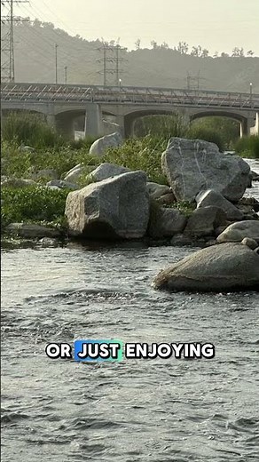 Atwater Village: LA’s hidden gem with farmers markets, shops & creative energy ✨