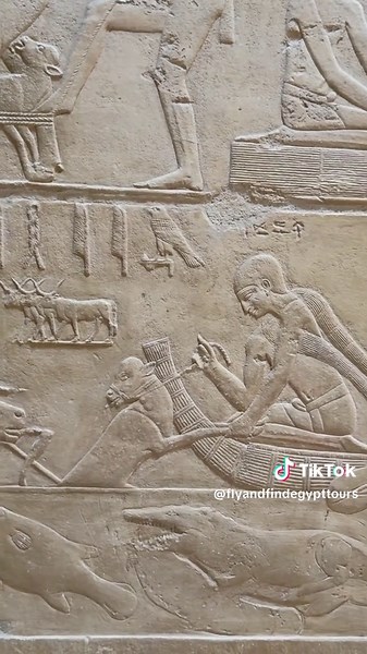 What did the ancient Egyptians do when they had to cross a crocodile-infested river? They didn’t panic — they strategized. One calf leads the way. The mother follows. The herd follows her. And a silent warning is carved into stone. #AncientEgypt #EgyptianHistory #Hieroglyphics #ArchaeologyTok #HistoryUncovered