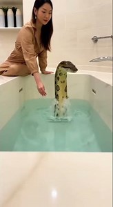 “Wait… That’s Not a Toy!”🐍🐍