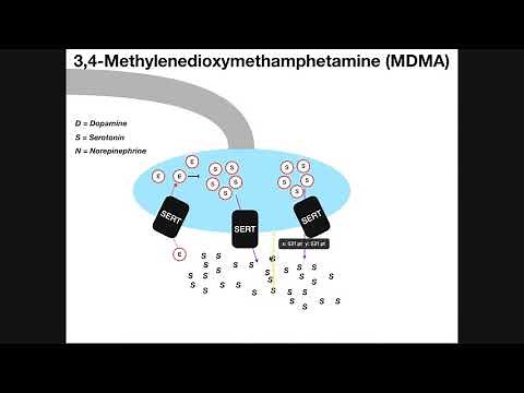 MDMA (Ecstasy) | Mechanism of Action & Metabolism