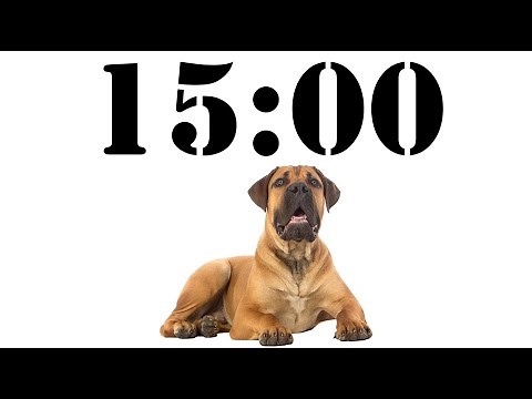 15 Minute Dog Timer for School and Homework. Dog Bark Alarm Sound