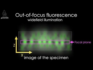 The Confocal Principle