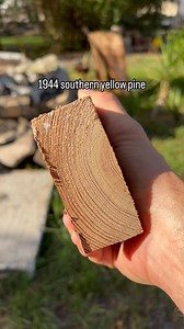 79K views · 61 reactions | Southern yellow pine is one dense & hot burning wood. Nearly all the framing we tore out in the remodel was tight grain SYP held together with 16d & 20d nails. #framing #oldhome #2x4 #construction #lumber #tightgrain | TOOLS by Design | Facebook