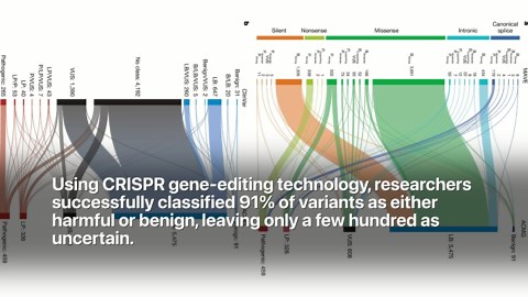 Major Cancer Gene Breakthrough: New Hope for Cancer Patients