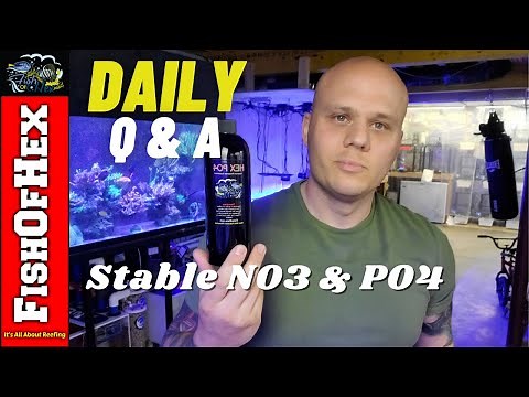 Tips For Keeping Stable Nitrates & Phosphates In A Reef Tank | Daily Q&A